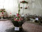 Výstava růží - Veltrusy [nové okno]