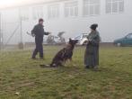 Výcvik policejních psů [nové okno]